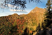 11 Colori d'autunno verso il Pizzo di Giacomo e la Valle Pianella a sx